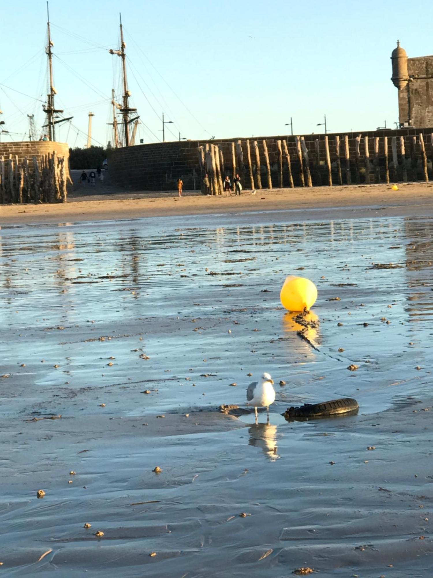 Grand Appartement Bretagne Saint Malo Intra Muros エクステリア 写真